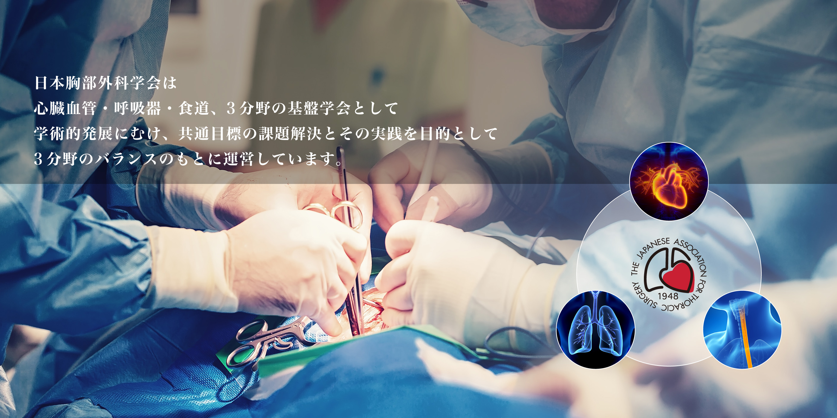 日本胸部外科学会は心臓血管・呼吸器・食道、3分野の基盤学会として学術的発展にむけ、共通目標の課題解決とその実践を目的として3分野のバランスのもとに運営しています。